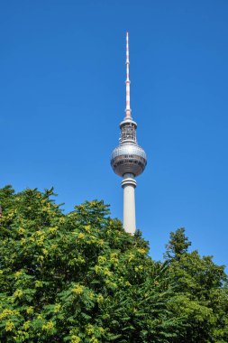 Bazı yeşil ağaçlar arkasında Berlin ünlü televizyon kulesi