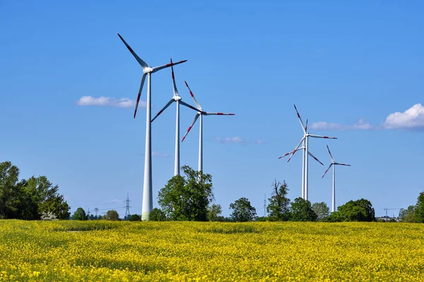 在德国看到的带风力涡轮机的油菜田 — 图库照片