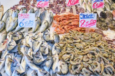 Napoli, İtalya 'da bir pazarda satılık taze balık ve deniz ürünleri.