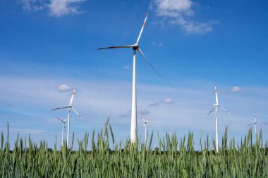 Almanya 'da görülen mısır tarlasında rüzgar türbinleri