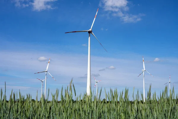 Windräder Auf Einem Maisfeld Deutschland — Stockfoto