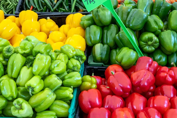 Colorful Bell Peppers Sale Market — Stock Photo, Image