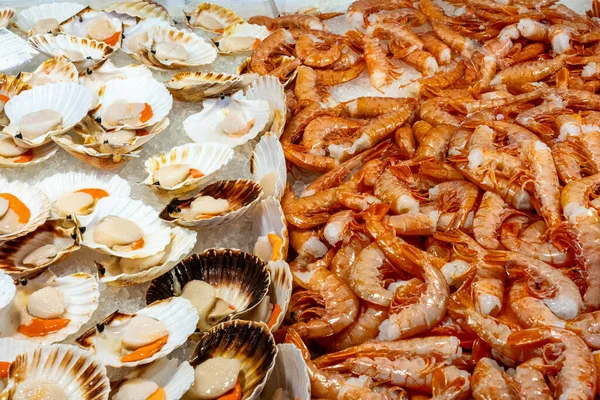 意大利威尼斯市场出售的地中海扇贝和虾类 — 图库照片