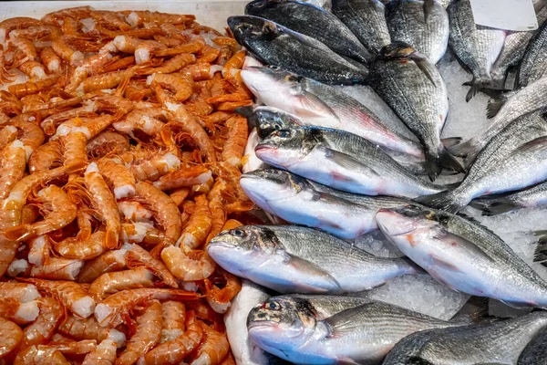 Camarão Peixe Para Venda Num Mercado — Fotografia de Stock