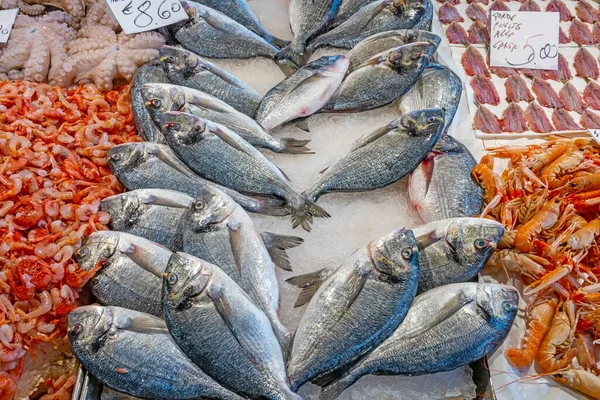 イタリア ヴェネツィアの市場での販売のための魚や魚介類 — ストック写真