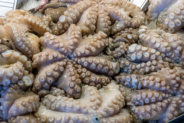 Octopus Eladó Egy Piacon Velence Olaszország — Stock Fotó