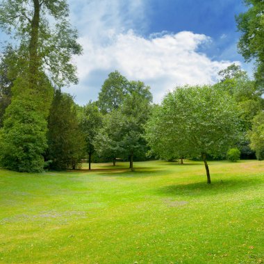 Güzel çayır çimen park ve güzel bir gökyüzü beyaz bulutlar ile kaplı.