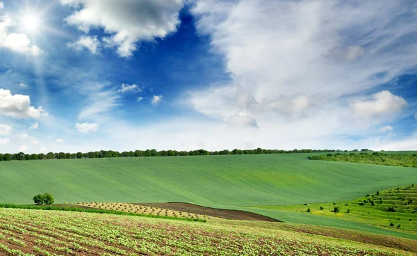 Rural Landscape Green Spring Field Lit Rays Bright Sun — Stock Photo, Image