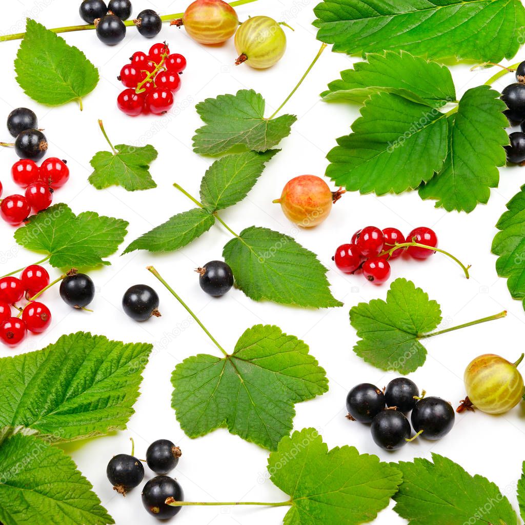Black and red currants, gooseberries and leaves isolated on white background. Top view.