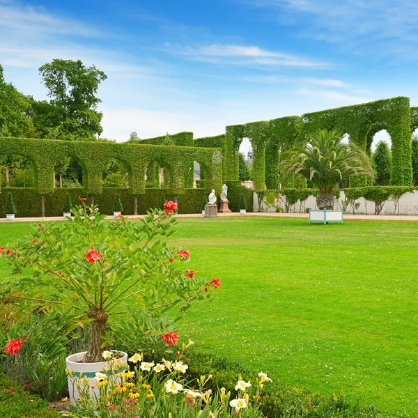 Hermoso Glade Parque Histórico Schwetzingen Alemania —  Fotos de Stock