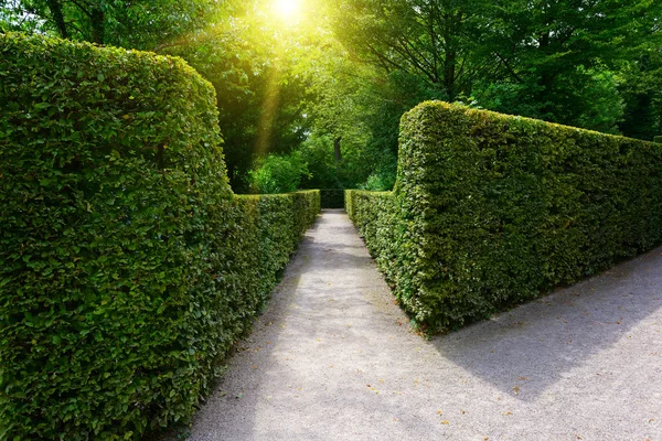 Lever Soleil Éclatant Dans Parc Ville Allemagne — Photo