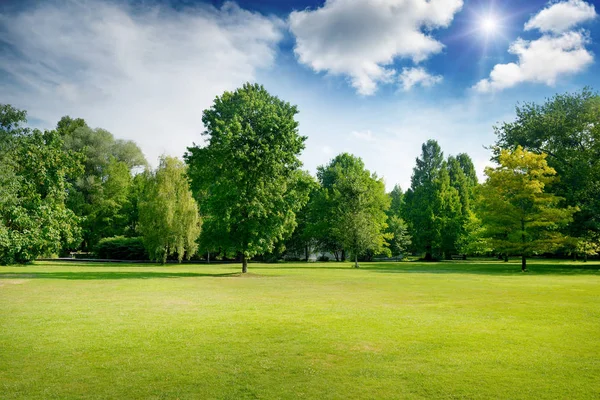 明亮的夏日阳光明媚的一天 公园里有翠绿的青草和树木 文本空间 — 图库照片