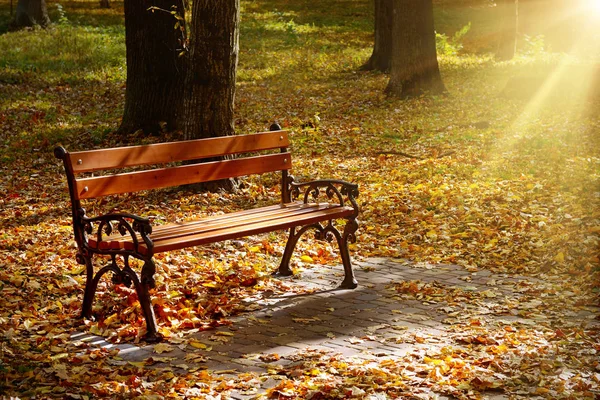 Ławka Ogrodowa Piękny Jesienny Park Oświetlony Przez Słońce Jasny Żółty — Zdjęcie stockowe