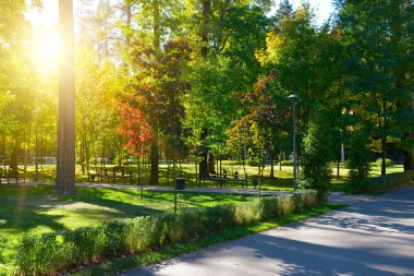 günbatımı güzel sonbahar park