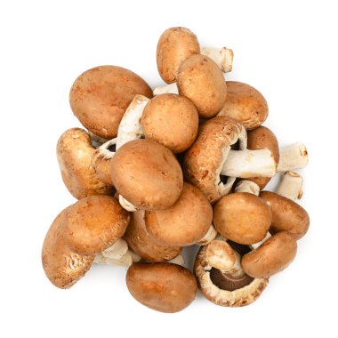 Beyaz arka plan üzerinde izole koleksiyonu champignon. Üstten görünüm
