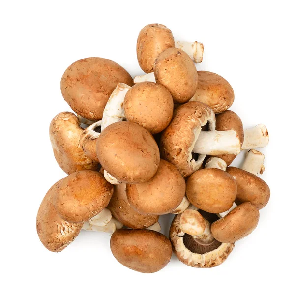 Collection Champignon Isolated White Background Top View — Stock Photo, Image