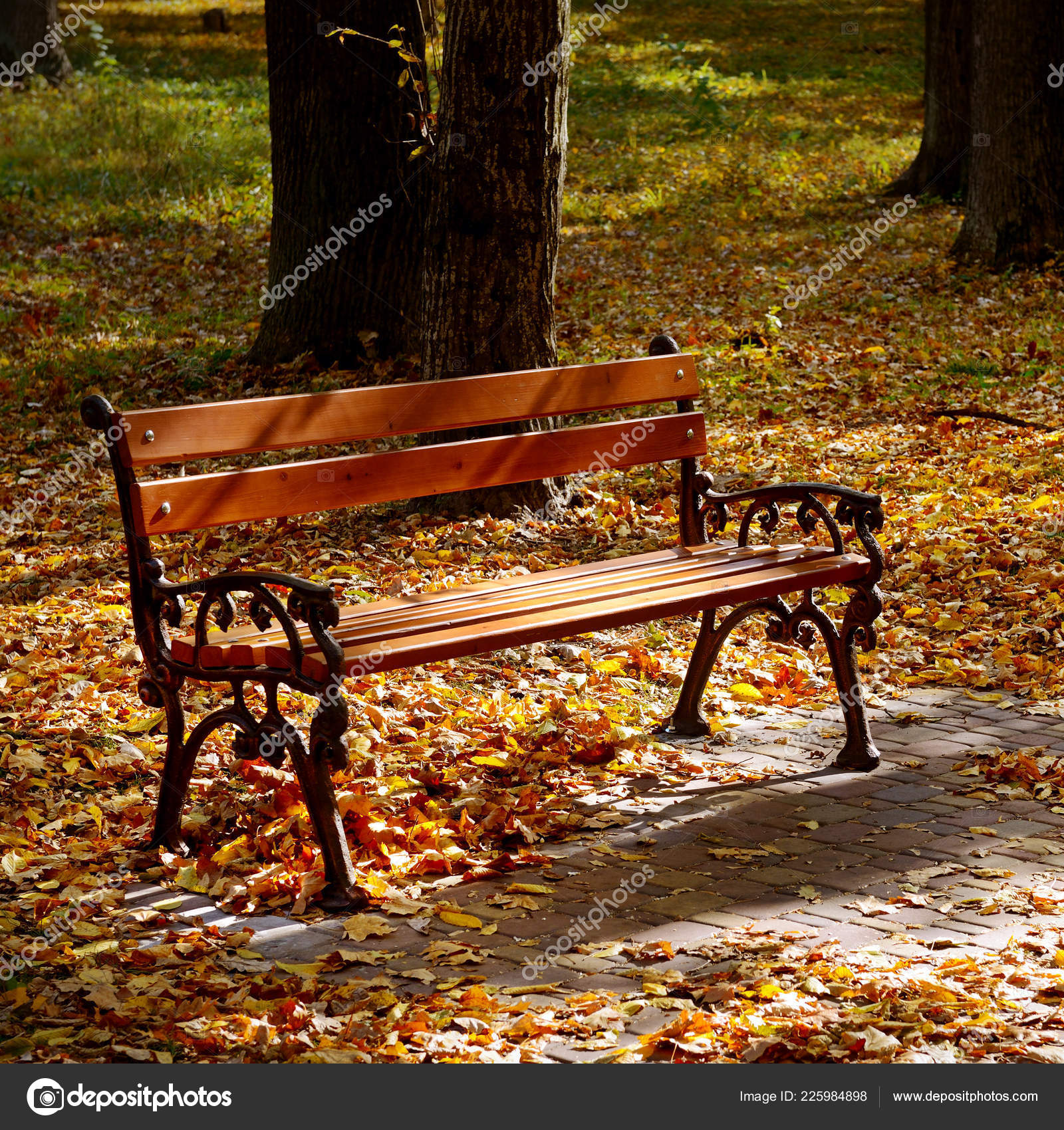 Beautiful Garden Bench Autumn Park Illuminated Sun Bright Fallen