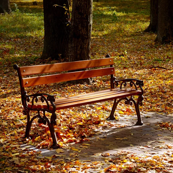 Beautiful Garden Bench Autumn Park Illuminated Sun Bright Fallen Leaves — Stock Photo, Image