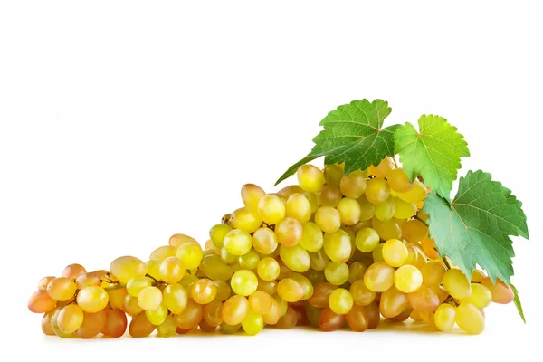 Ramo Uvas Frescas Aisladas Sobre Fondo Blanco Recorte Camino Espacio —  Fotos de Stock