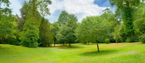 Beautiful Meadow Covered Grass Park Beautiful Blue Sky Clouds — Stock Photo, Image