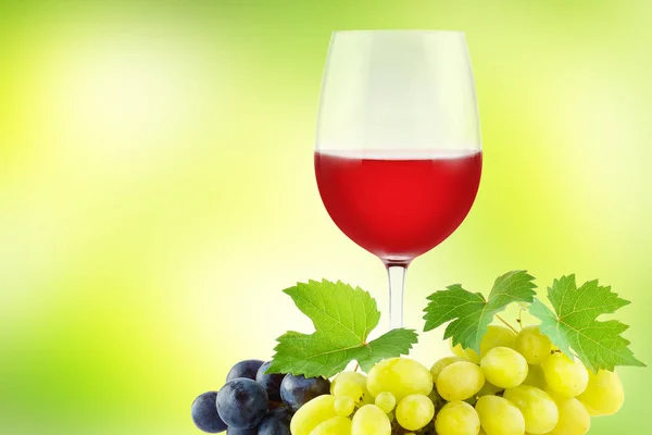 Пакет винограда с зелеными свежими листьями и бокал красного вина на зеленый — стоковое фото