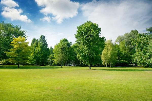 Picturesque green glade in city park. Green grass and trees. — Stock Photo, Image