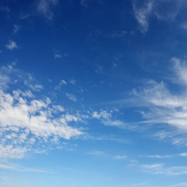 Witte cirruswolken tegen de donker blauwe hemel. — Stockfoto