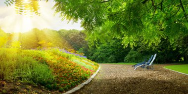 Renkli çiçek tarhı ve güneşli öğleden sonra dinlenmek için yer.