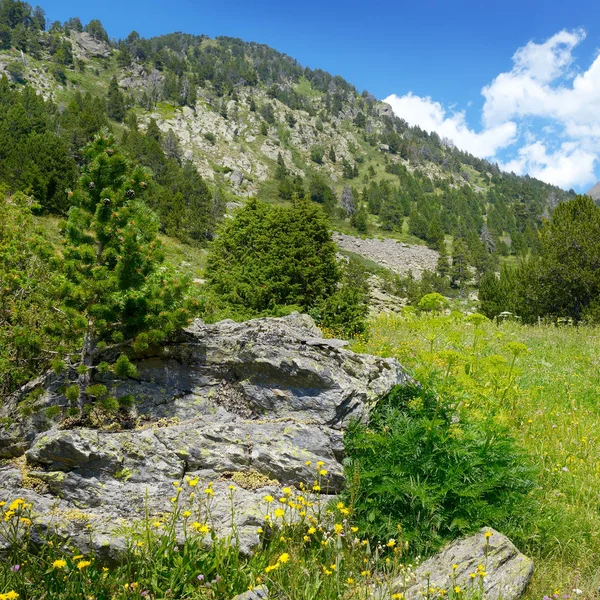 Belle vallée et ciel bleu en Andorre. Paysage de montagne . — Photo