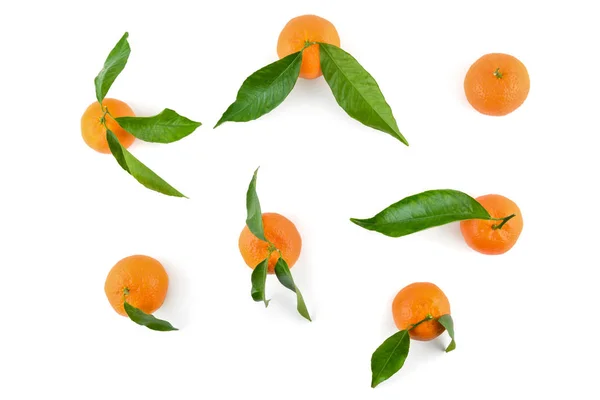Top view of mandarins or oranges with leaves for layout isolated — Stock Photo, Image