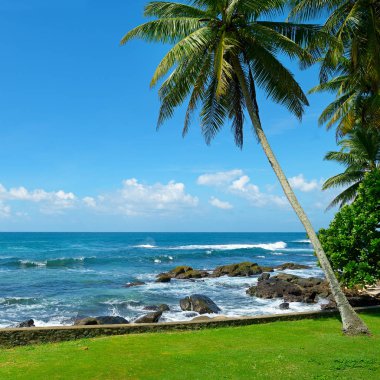 Hindistan cevizi palmiye, turkuaz deniz ve bulutlar ile Tropikal deniz manzarası