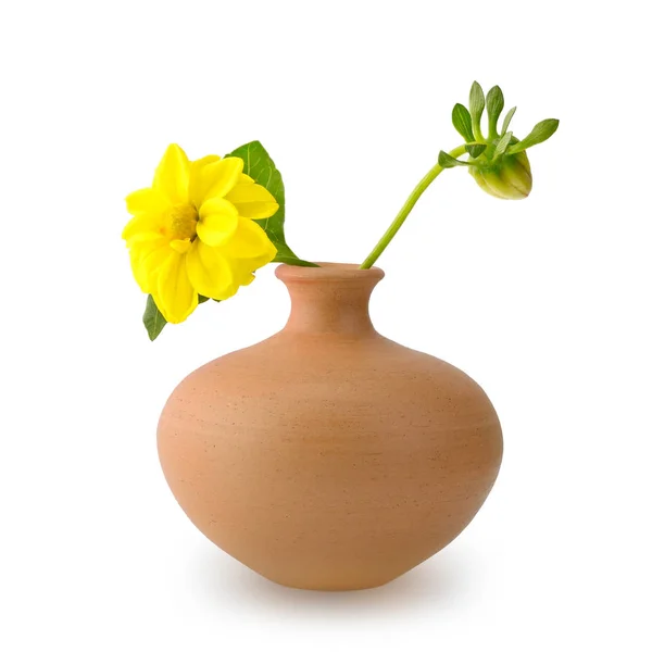 Yellow fresh dahlia in clay jug for holiday card. — Stock Photo, Image