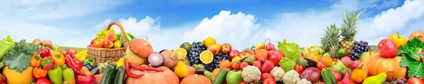 Panorama owoce i warzywa na tle zielone pole — Zdjęcie stockowe