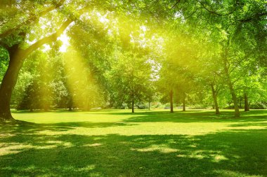 Sunrise güzel Park