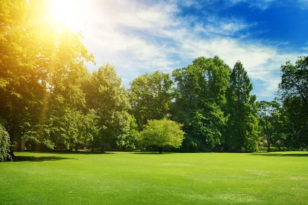 夏日灿烂的阳光照亮了公园，覆盖着树木和草地 — 图库照片