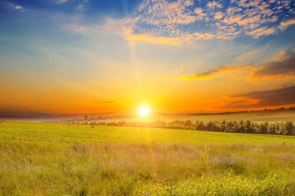 Breed Landschap Van Groen Veld Epische Zonsondergang — Stockfoto