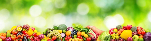 全景新鲜水果和蔬菜绿色背景 护肤胶合板 玻璃板 — 图库照片