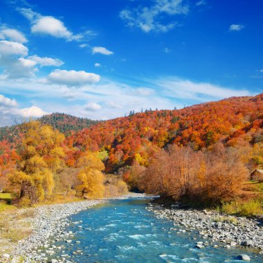 Parlak sonbahar manzara vadisi dağ nehri.