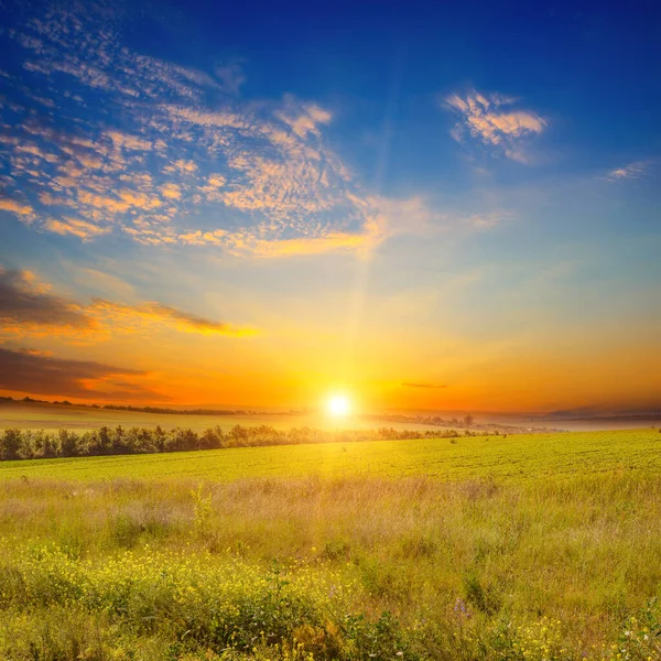 緑の野と壮大な夕日の広い風景 — ストック写真