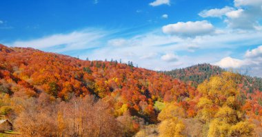 Panoramik sonbahar manzaralı dağ nehri.