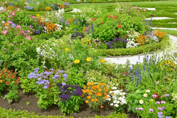 Blossoming Flowerbed Summer Park — Stock Photo, Image