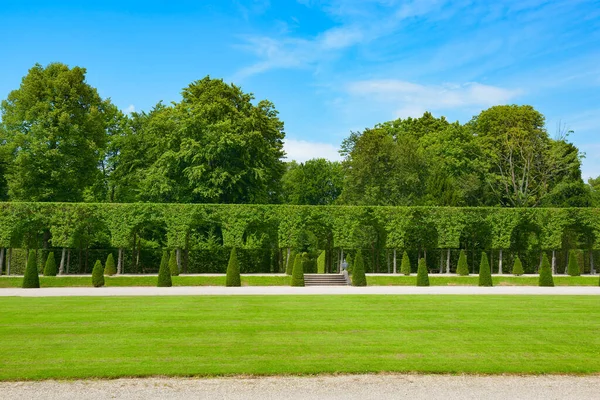 Resmi bir park manzarası simetrik bir çim ve mavi bir gökyüzünün altında düzgünce budanmış çitler. Bu sakin yaz sahnesi yeterli kopya alanı sunuyor.