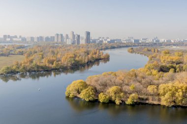 Moskova Nehri kıyısında sonbahar park