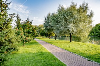 Bir yaz günü göl kenarındaki parkta bir patika.