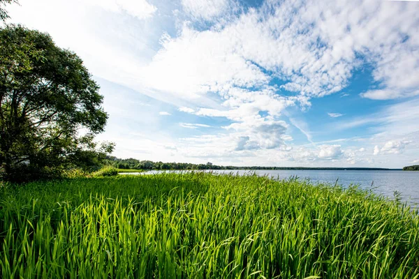 Sommar Landskap Igenväxta Stranden Den Ryska Volga Floden Solig Dag — Stockfoto