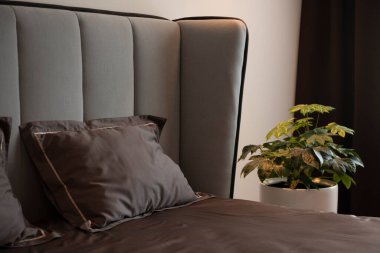 Yatak odasındaki büyük bir yatakta güzel bir yatak.