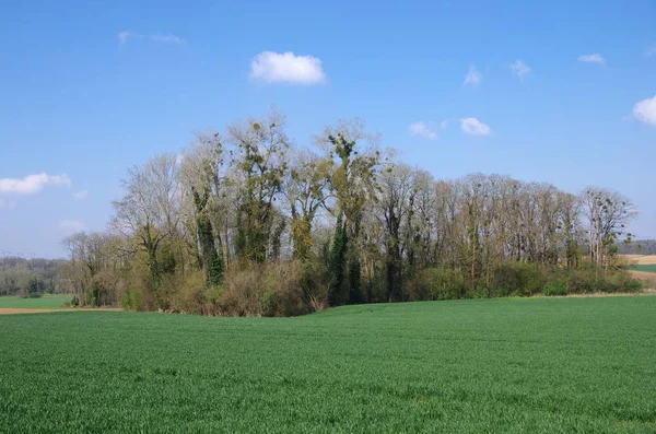 Landelijk Landschap Nabij Parijs Frankrijk Europa — Stockfoto