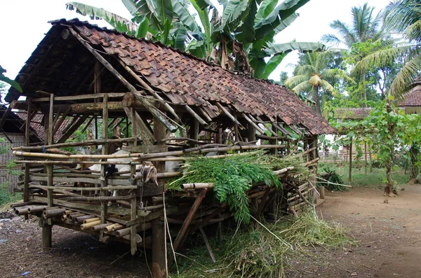 Village Traditionnel Sur Île Java Indonésie — Photo