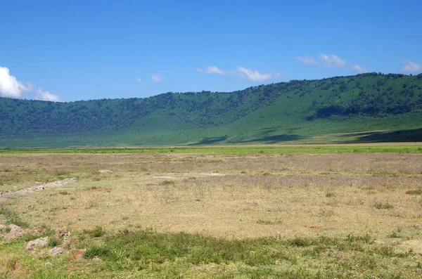 Krajobraz Kraterze Ngorongoro Tanzanii — Zdjęcie stockowe