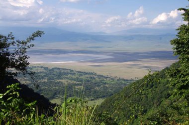Tanzanya, Doğu Afrika 'daki Ngorongoro kraterindeki manzara
